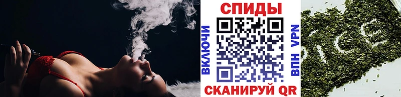 OMG ONION  Звенигово  Бутират бутандиол 