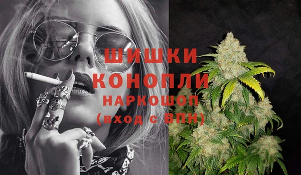 прущие грибы Балахна