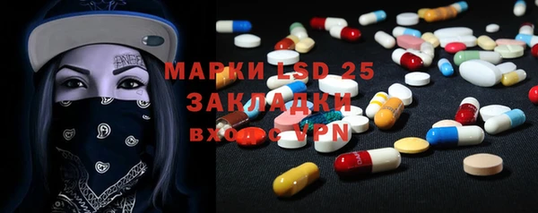прущие грибы Балахна