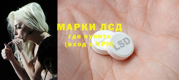 прущие грибы Балахна