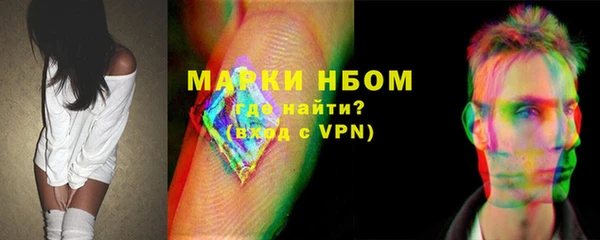 прущие грибы Балахна