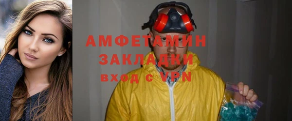 прущие грибы Балахна