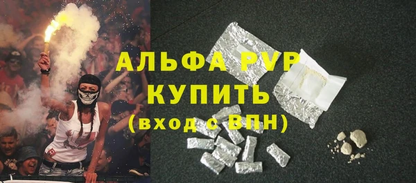 прущие грибы Балахна